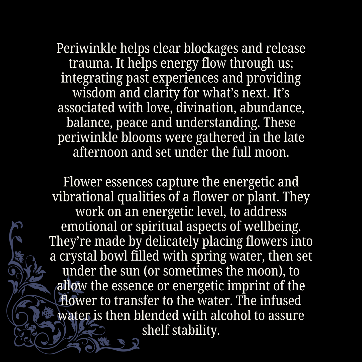 Energy Flow • Periwinkle flower essence • Witchy Intuition