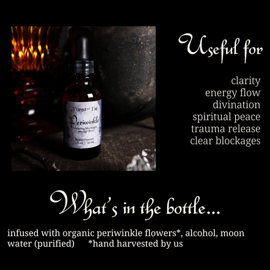 Energy Flow • Periwinkle flower essence • Witchy Intuition